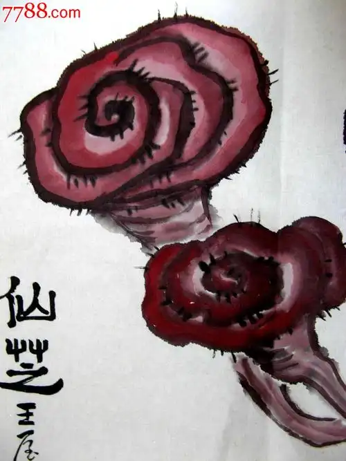 简洁流畅的一尺斗方写意灵芝画《仙芝》