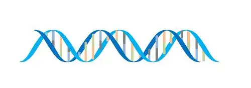 【研公社】研路有你丨ppt绘制科研图形之dna双链_顶点