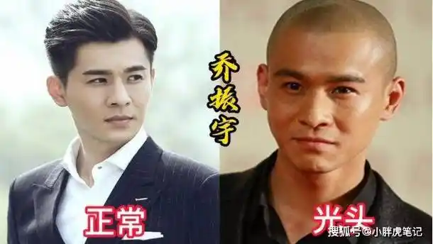 18位男明星光头造型对比_徐锦江_影响_胡歌