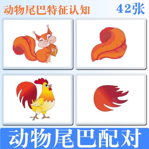 动物特征认知尾巴配对训练卡片彩图塑封防水撕不烂自闭症宝宝教具