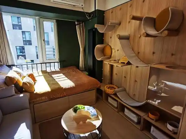 像是北京的泊寓成寿寺项目就是宠物友好的长租公寓之一,它们设计的