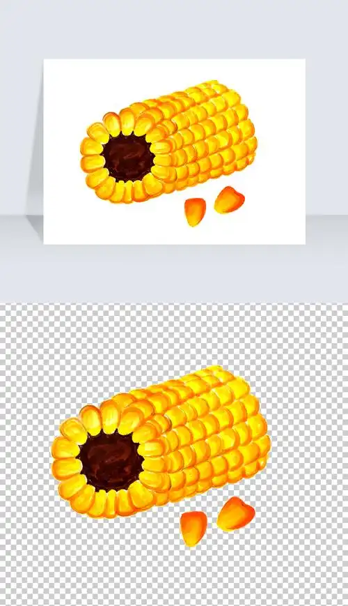 玉米玉米粒手绘免抠png