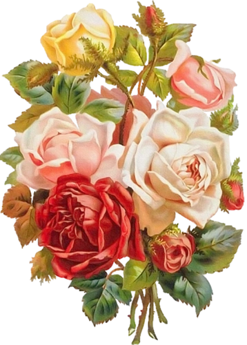 复古玫瑰花图片