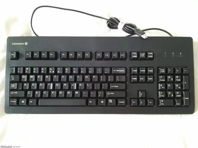 出黑色茶轴 cherry g80 3000机械键盘