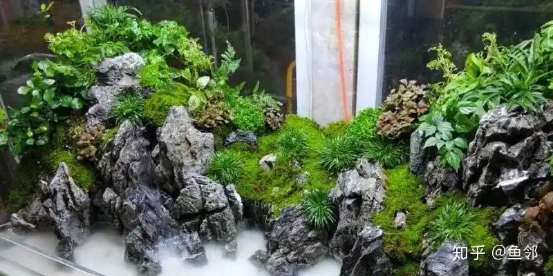 超大气的青龙石中式山水水陆缸