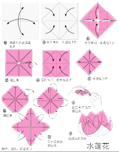 鲜花折纸教程大全水莲花的折纸方法图解