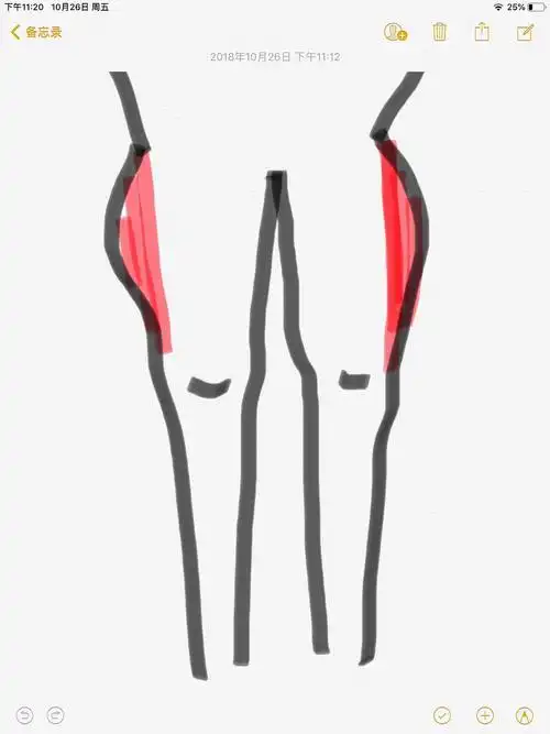 如图所示 补充一下:是整个大腿外侧都会凸出一些