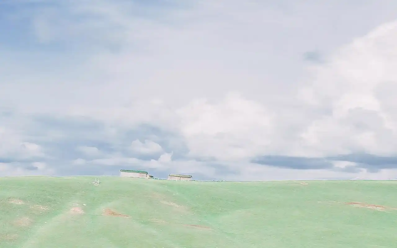 小清新草原简约唯美高清桌面壁纸高清大图预览1920x1200_植物壁纸下载