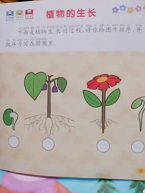 东城名苑幼儿园打卡任务《找一找,连一连》 - 美篇