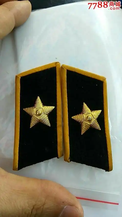 领章一副,55式领章.