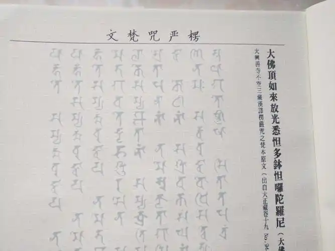 梵文大悲楞严心经无垢净光佛顶尊胜宝箧印陀罗尼绿度母文殊抄经本
