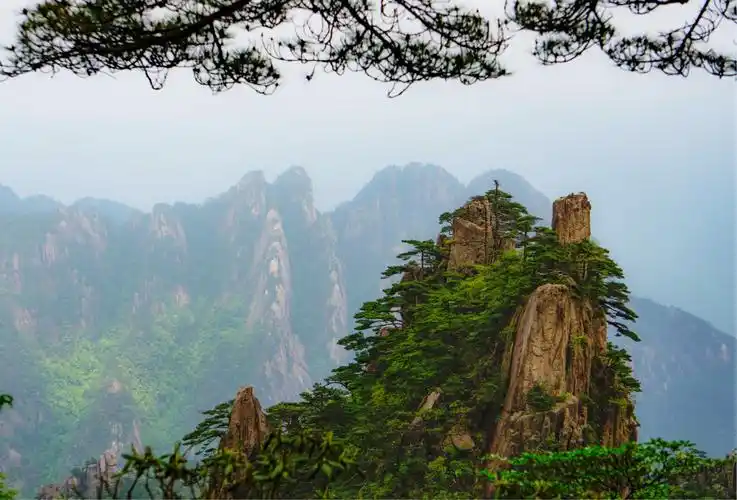 初游天下第一山——黄山,果然名不虚传,山峰林立,加上翠绿的松柏,犹如