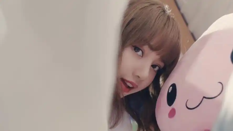 自截lisa连续帧看简介