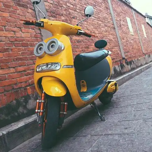 已出自用小黄人电动车