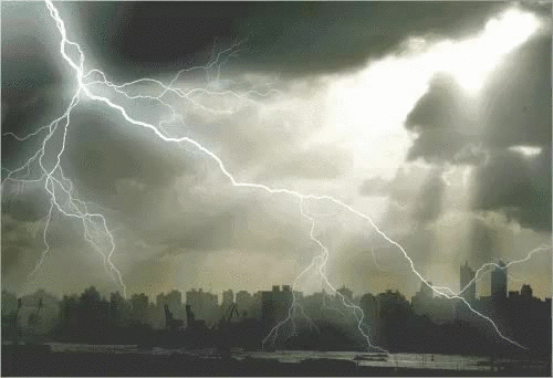 500_342gif 动态图 动图