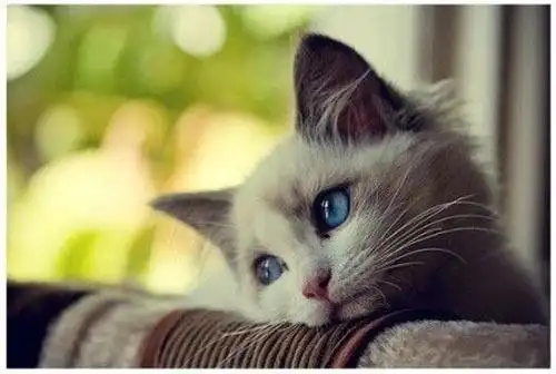 12.20每天都有一个时刻是用来发呆的