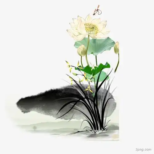 古风水墨荷花png素材透明免抠图片-装饰效果