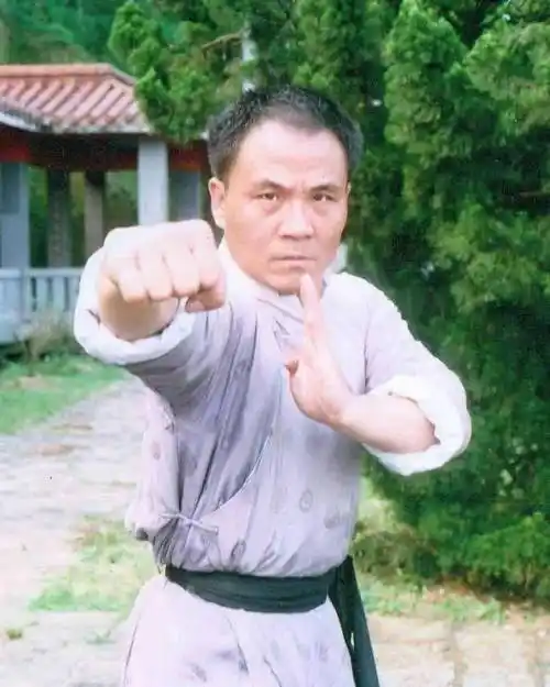 鹿峰也是与郭追等人一样,师从张彻,是70年代著名的打星之一.