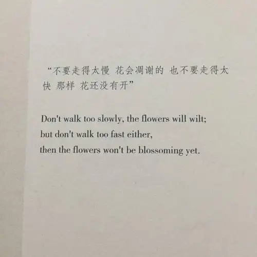 文字美文句子欣赏