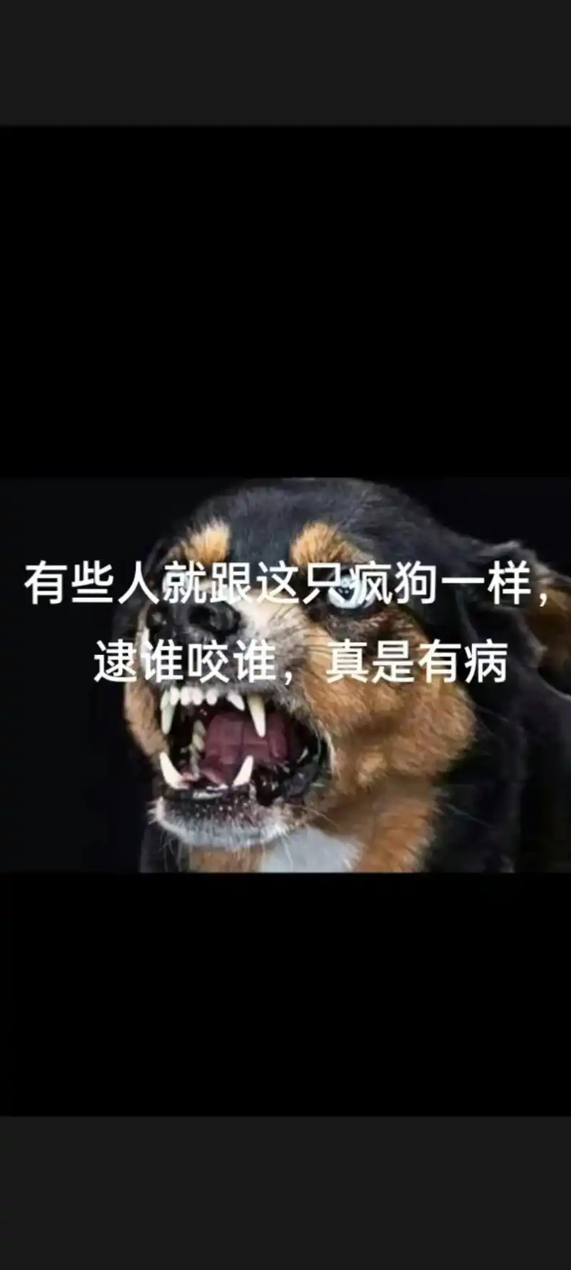 有一条疯狗咬我一口,难道我也要反咬他一口吗",不要和疯狗一般 - 抖音
