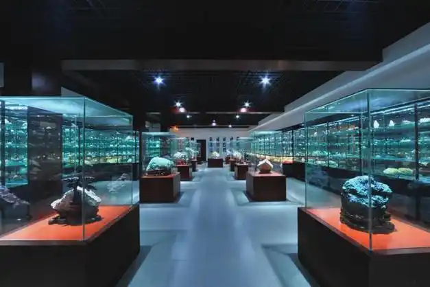 78西安高陵奇石博物馆(约40分钟):青少年科普教育基地,爱国主义教育