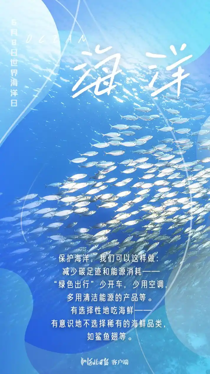 世界海洋日海报保护海洋守护蓝色家园
