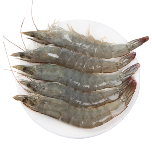 展康 青岛大对虾 青虾 1650g_没得比