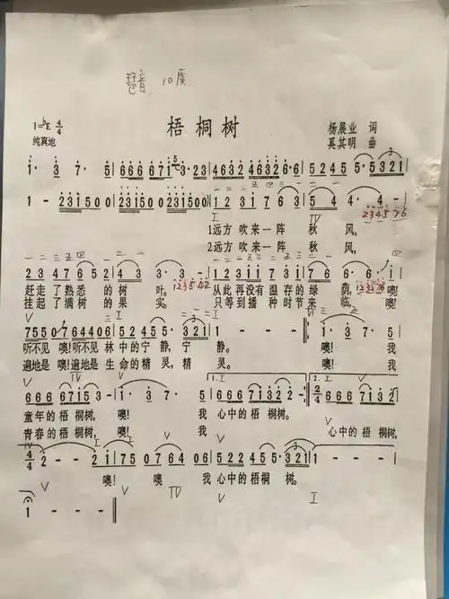 钢琴练习《梧桐树》