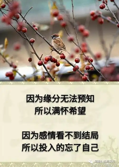 听不完的谎言看不透的人心走不完的人生