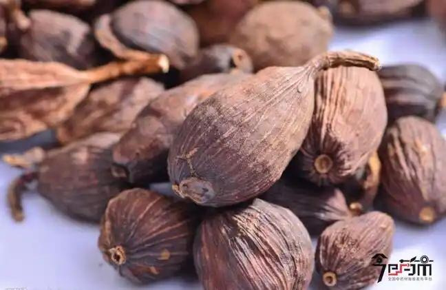 草果前几日价格下滑较为明显,近两日有收购商积极购进,虽然草果价格