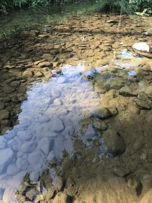 市zf广场小水渠.