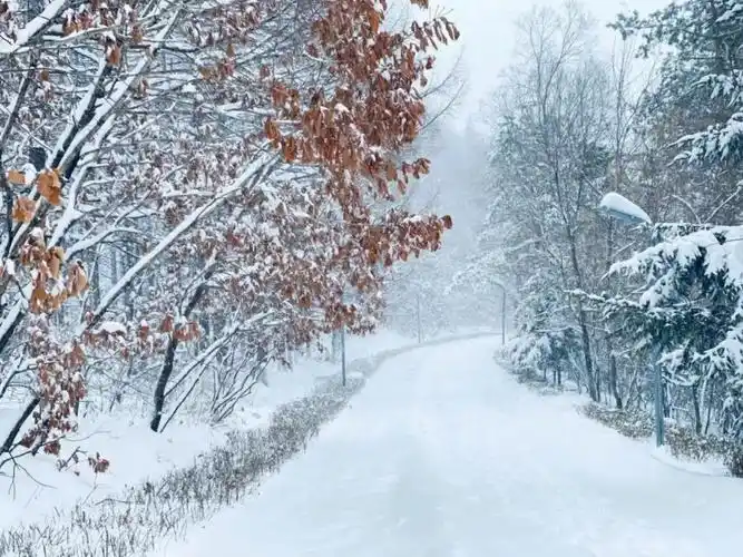暴雪寒潮大风来了,一大波降温,雪后美景,你们城市下雪了吗?
