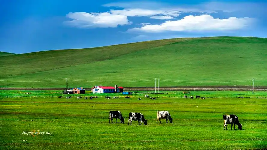 【呼伦贝尔大草原摄影图片】风光旅游摄影_太平洋电脑网摄影部落