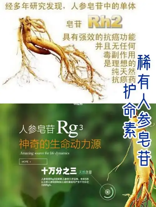 人参皂苷的功效与作用正常人吃人参皂苷有什么好处