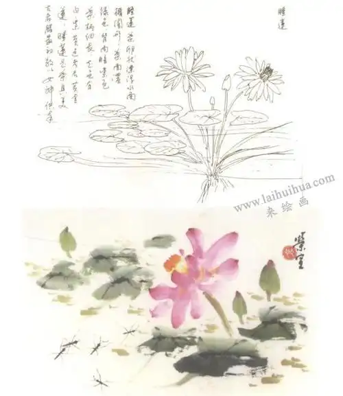 睡莲写意画法步骤