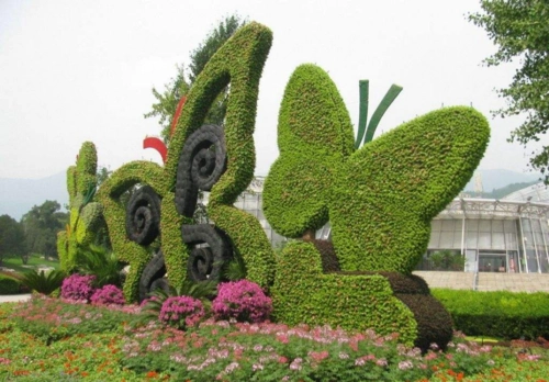 五色草造型,五色草造型设计,五色草造型施工——清承园林多年行业经验