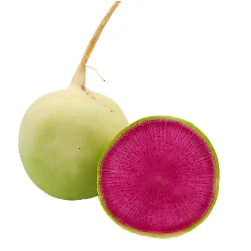 一折心里美萝卜