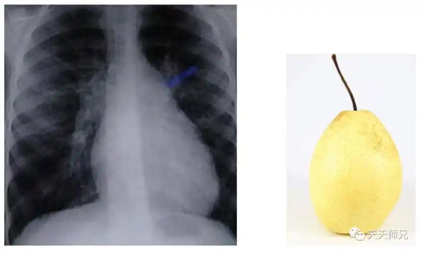 执业医师第三站真题!(上篇)