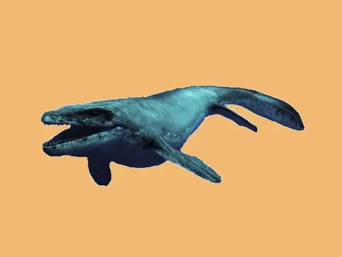 沧龙类:沧龙类,又称苍龙类