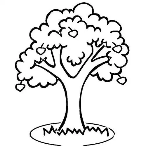 春天果树开花的简笔画