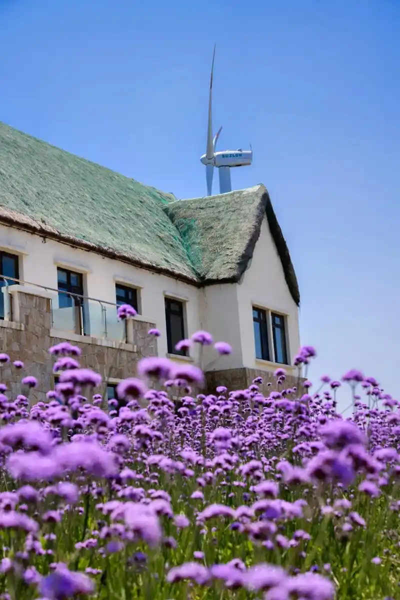 再见山东,再见北方9999.#每一帧都是热爱 #这个夏天 # - 抖音