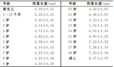 促进丁丁发育—穿叉叉裤?