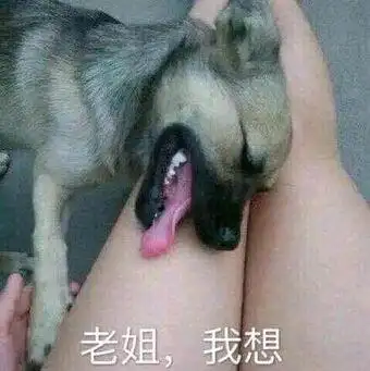 扑克牌小人 - 斗图表情包 - 斗图神器 - adoutu.com