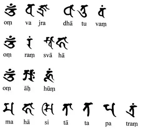 可能是印度文(梵文),是佛真经.是不是跟下面的字差不多?