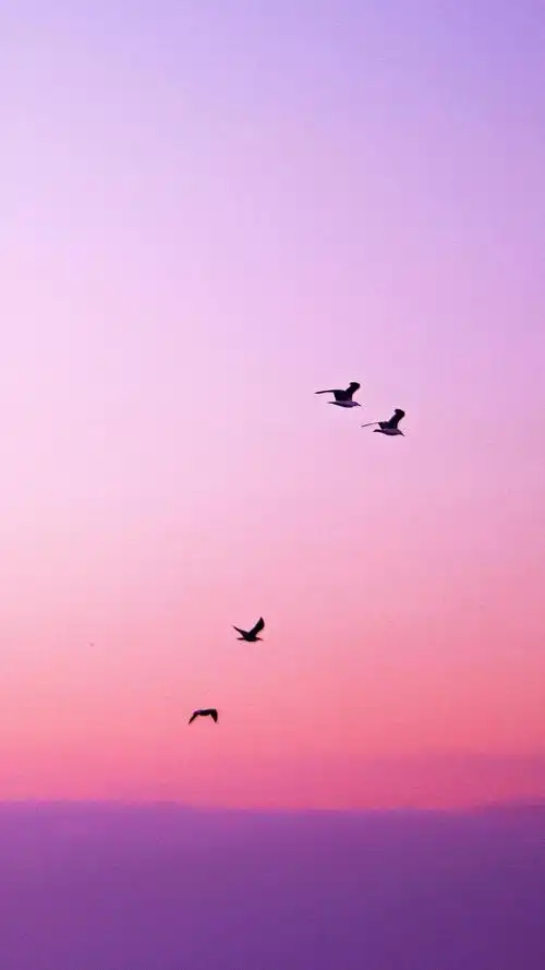 让人少女心酥炸的风景,高清图片,手机壁纸