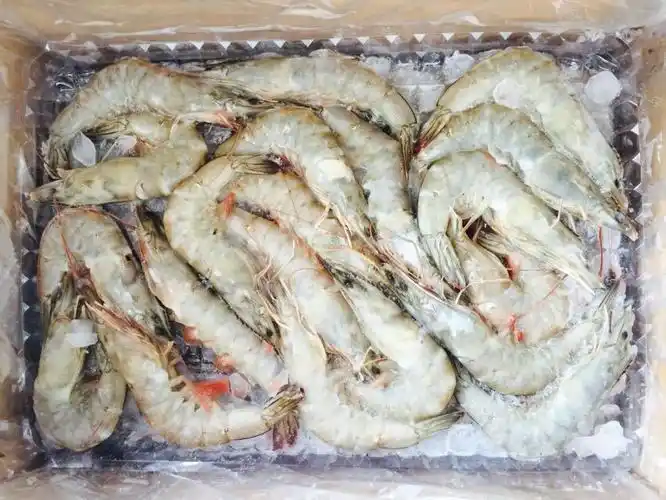 冷冻白虾2kg/盒 酒店食材大虾采购南美白对虾水产冷冻水产批发