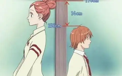 情侣身高黄金比例,男女身高的黄金比例是多少