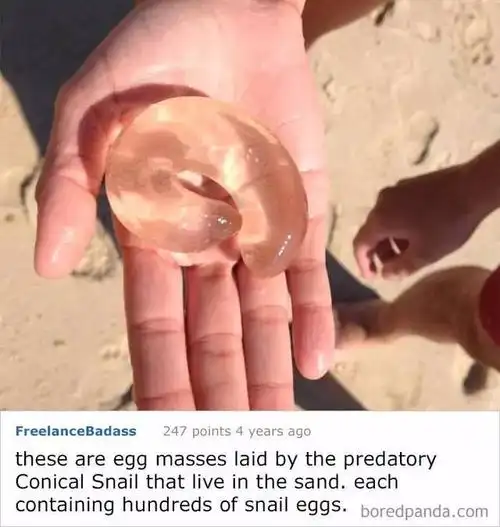 一群网友晒出一堆奇奇怪怪的东西,让网上的人才给