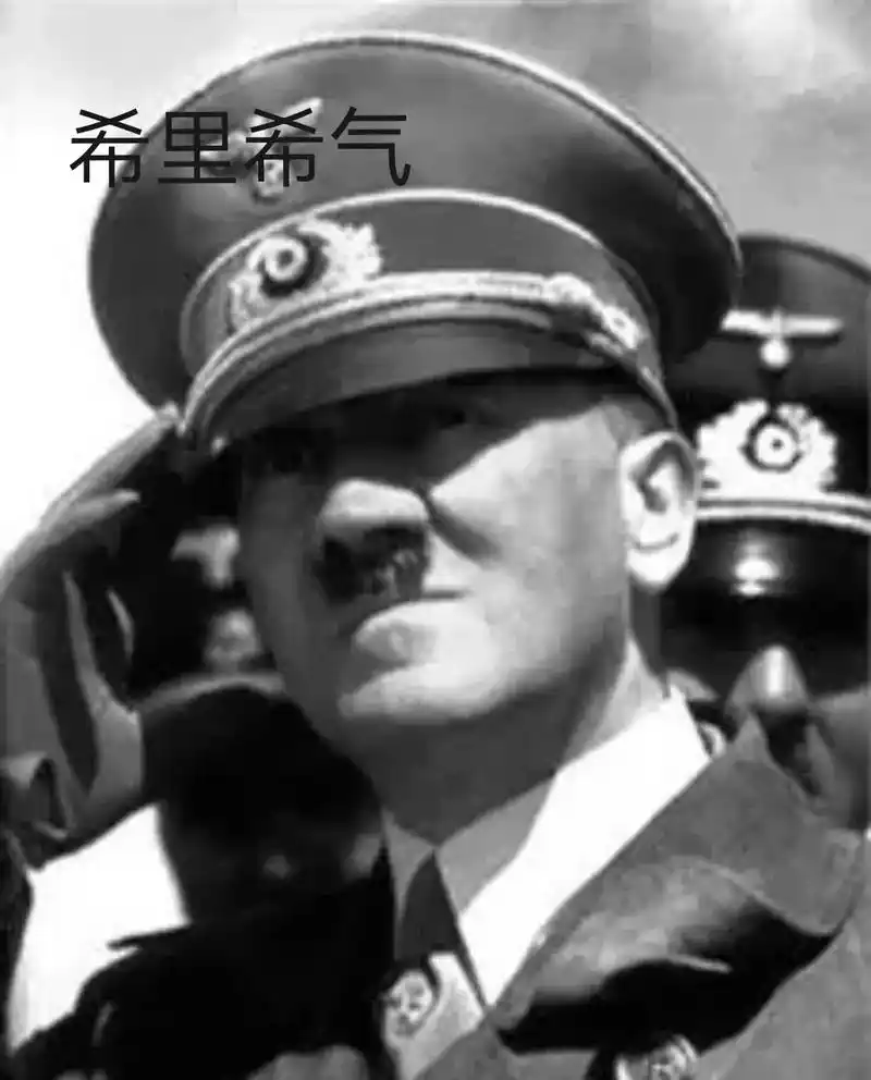 二战德军表情包 #鬼畜#万恶之源#帝国的毁灭 - 抖音