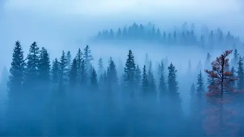 清晨的神仙湾,水面弥漫着淡淡的薄雾.画面犹如水墨丹青,栩栩如生.